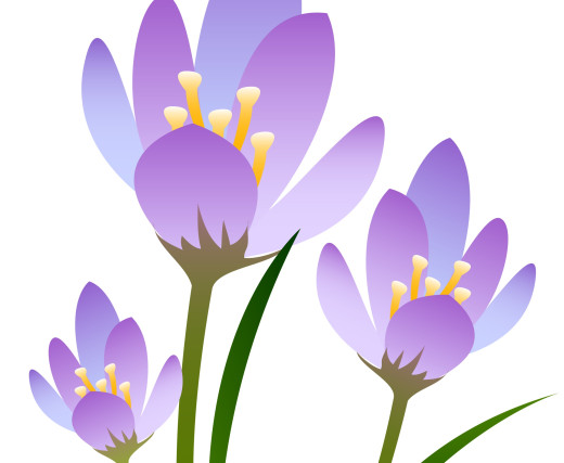 1019488 (a): :2250x1847